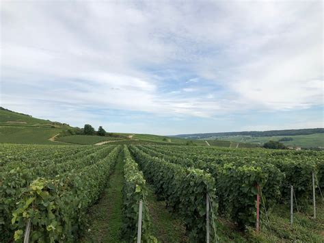 dior reims|Champagne Cellars and Vineyards in Reims, Epernay and .